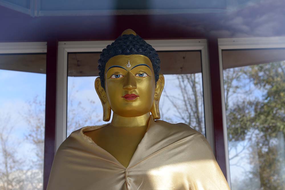 Buddhastatyn står i samma park som Leninstatyn 